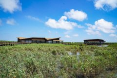 滩涂上，保护与科普共绘“